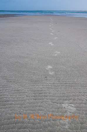 Dance in the Sand