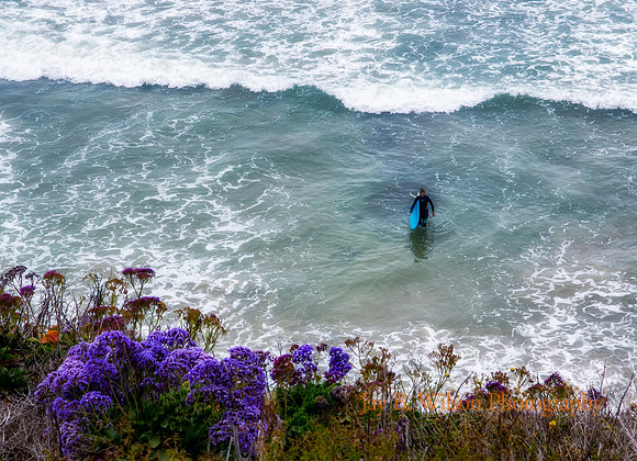 Surfer Girl