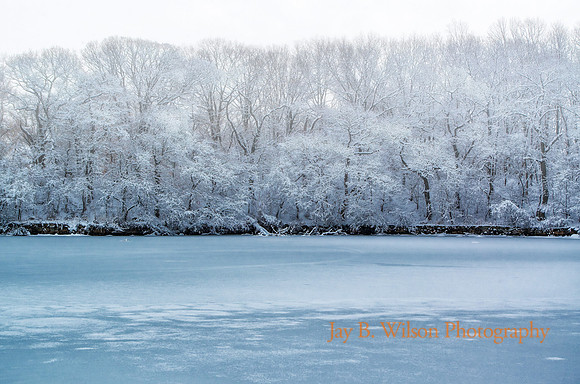 Winter's Bones - Tod's Point