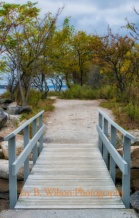 Welcome to Paradise - Tod's Point