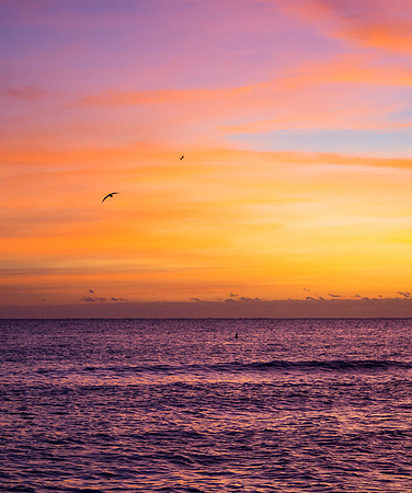 Sunrise Flight