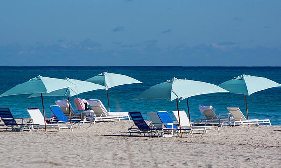 Miami Blues