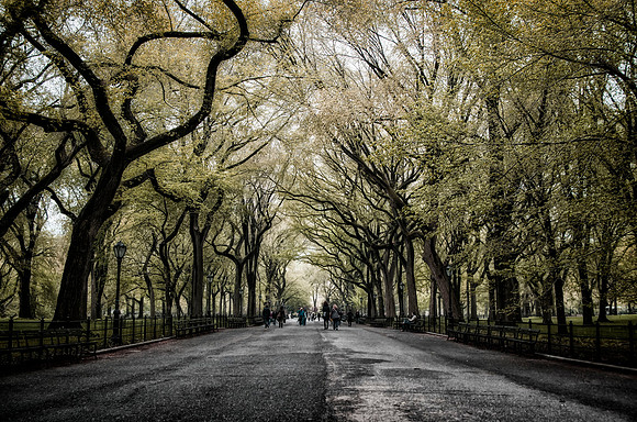 Fairytale of New York