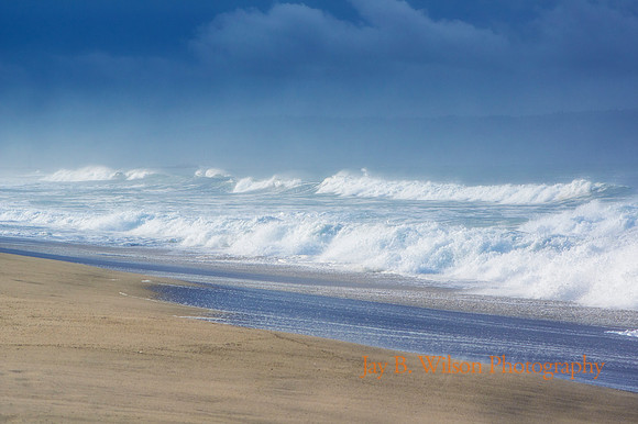 Santa Monica