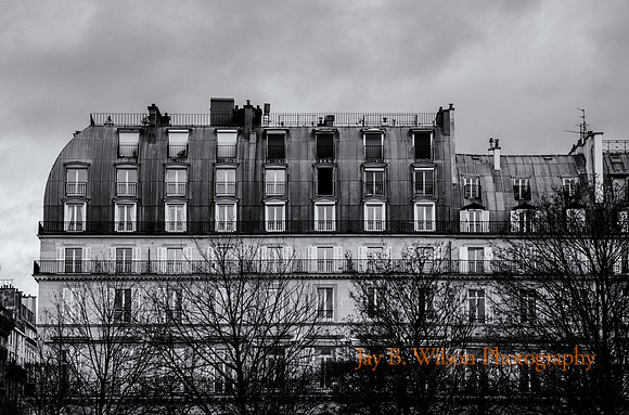 Paris Greys