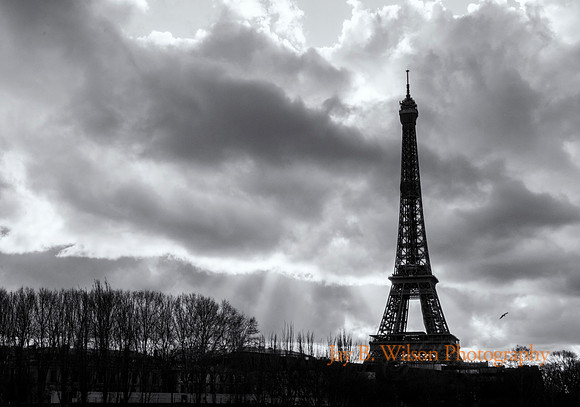 The Light of Paris