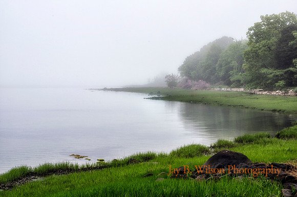 The Cove - Morning Mist