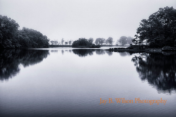 Eagle Pond Mist