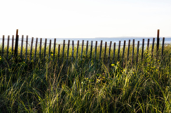 Summer's Out of Reach