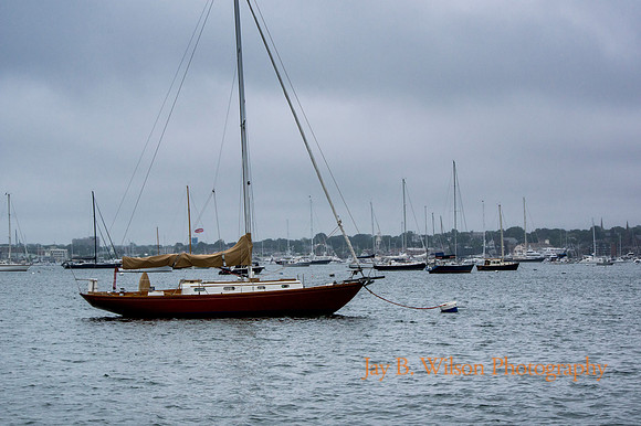 Harbor Fog