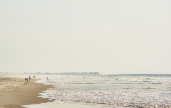 Summer Haze