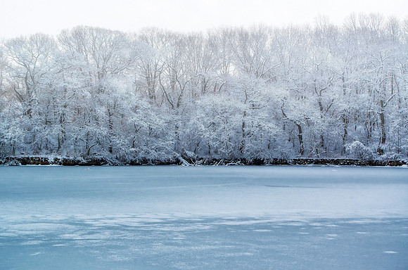 tod's point, old greenwich, ct, in winter