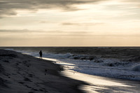 Morning Stroll, Seaview - Fire Island, NY
