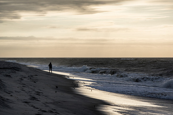 Morning Stroll, Seaview - Fire Island, NY