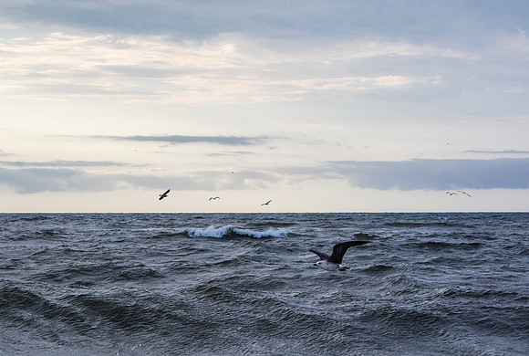 Marine World - Fire Island, NY