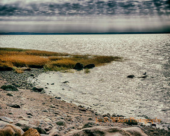 Coastal Glow - Tod's Point