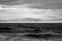 Seaview Classic - Fire Island, NY