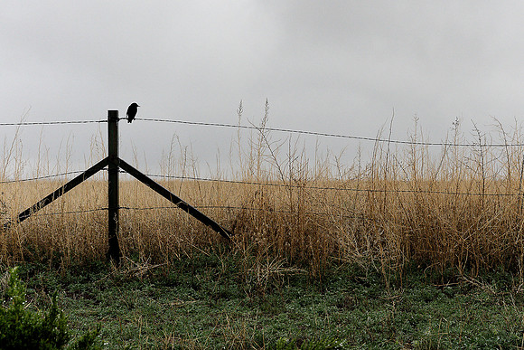 Jay B. Wilson