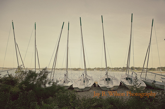 sailboats at tod's point, greenwich, ct
