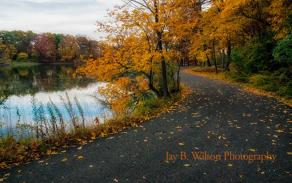 An Autumn Walk