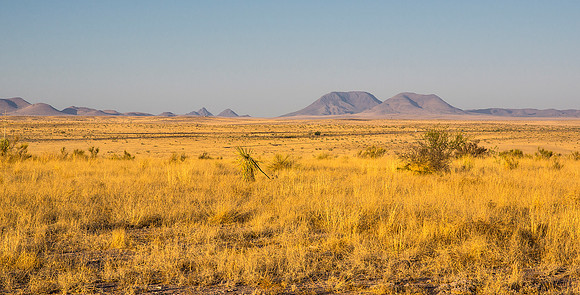 Golden Prairie, Marfa