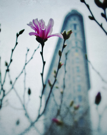 Flatiron Spring