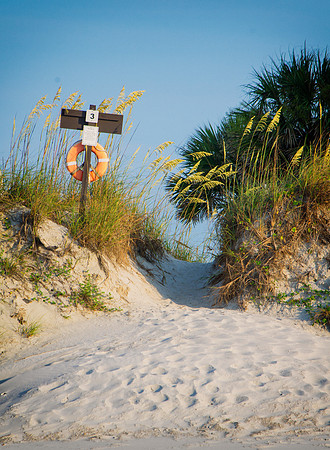 Beach Path #3